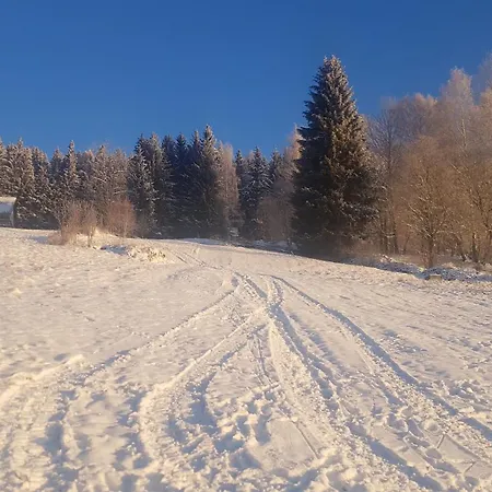 Vkus